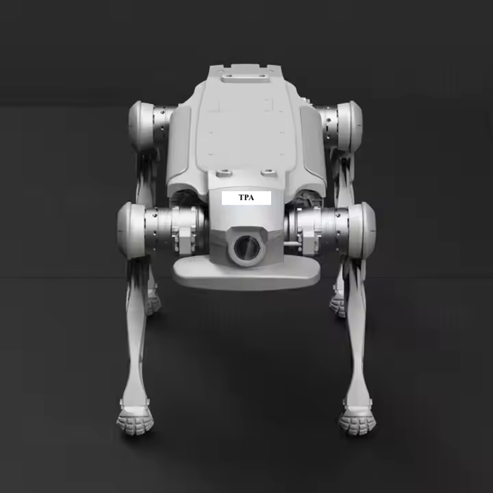 TPA Sidekick Robot Dog